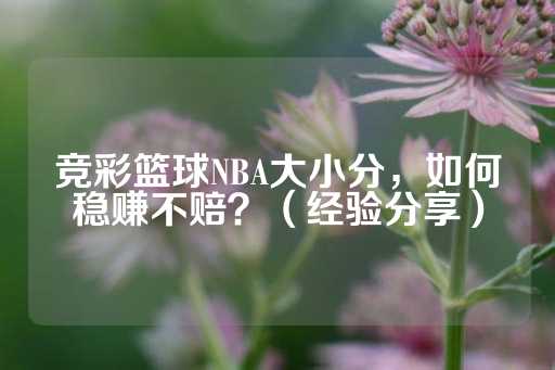 竞彩篮球NBA大小分，如何稳赚不赔？（经验分享）