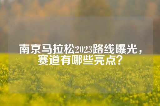 南京马拉松2023路线曝光，赛道有哪些亮点？-第1张图片-皇冠信用盘出租