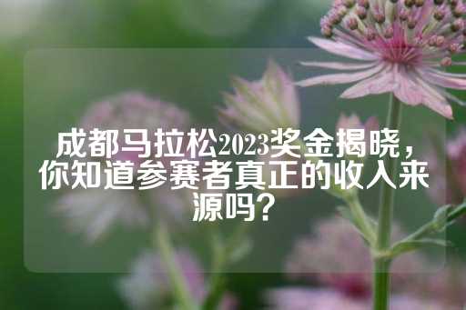 成都马拉松2023奖金揭晓，你知道参赛者真正的收入来源吗？-第1张图片-皇冠信用盘出租