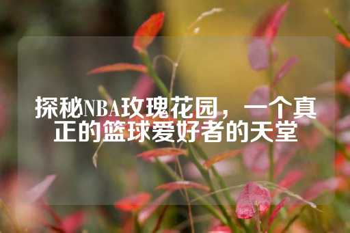 探秘NBA玫瑰花园，一个真正的篮球爱好者的天堂-第1张图片-皇冠信用盘出租