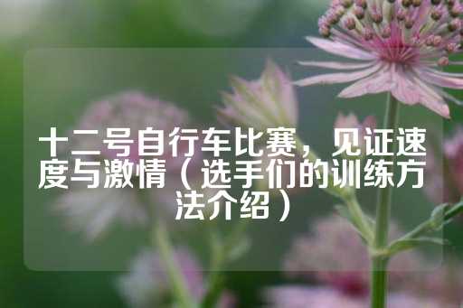 十二号自行车比赛，见证速度与激情（选手们的训练方法介绍）