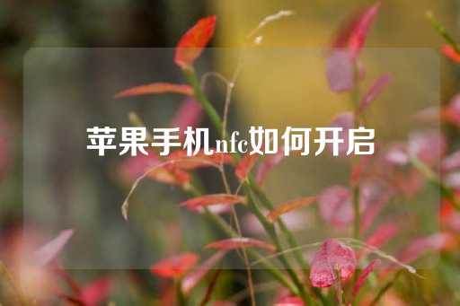 苹果手机nfc如何开启