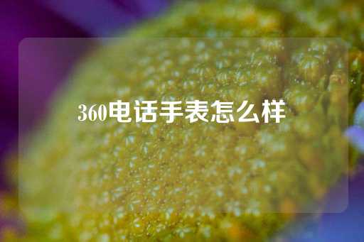 360电话手表怎么样-第1张图片-皇冠信用盘出租