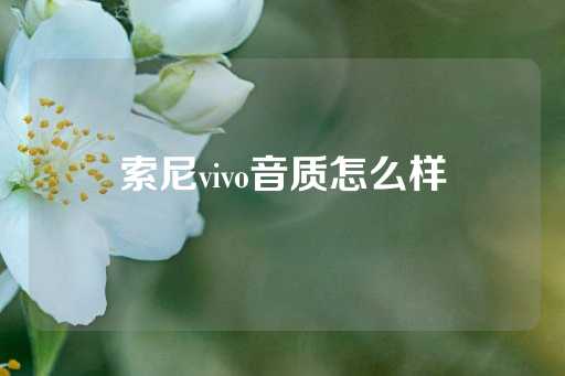 索尼vivo音质怎么样